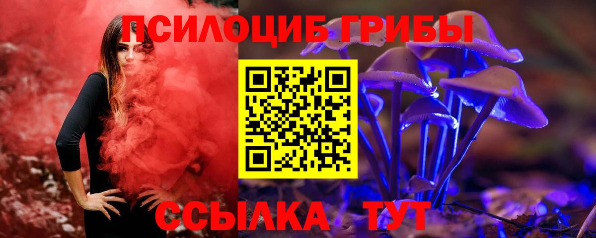 Воскресенск  Галлюциногенные грибы GOLDEN TEACHER  Вход с VPN 